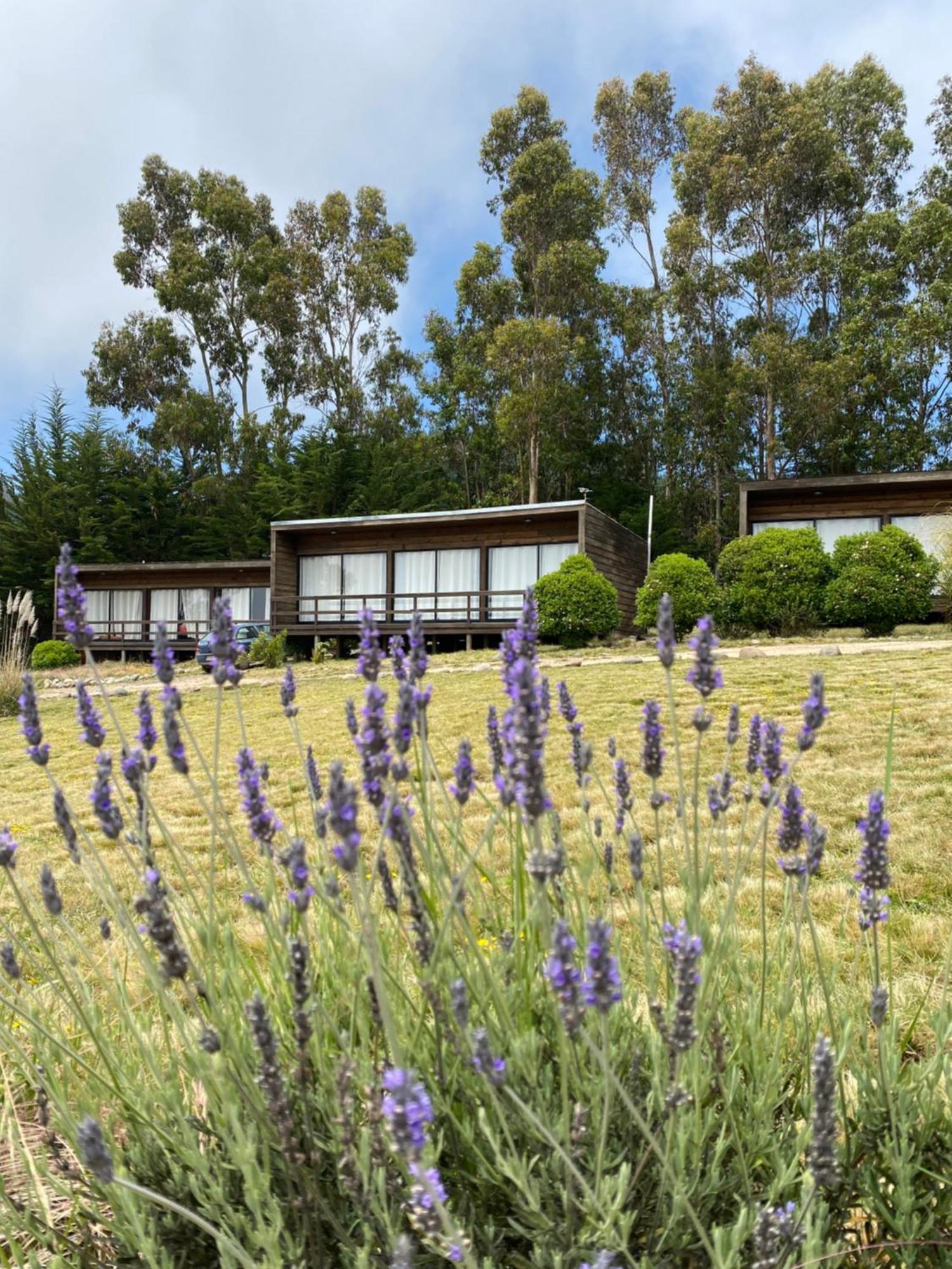Cabanas Lovel-Van Curanipe Exterior photo